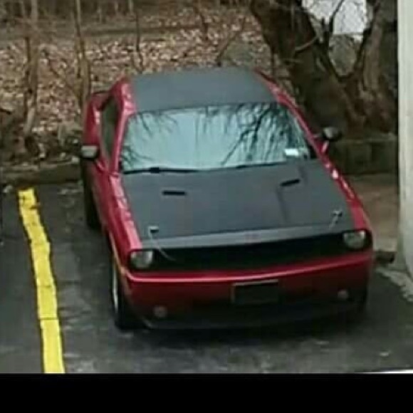 Meet your Posher, Jose - Picture 1 of 1